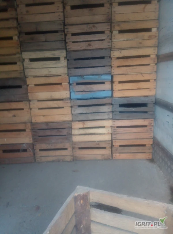 /images/posts/2025/03/1983796/hSb81c8DLUu1VkdJtK9LoIRUMjP9M6Z20bQLMntF.jpeg