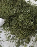 Na sprzedaż posiadamy liść pokzywy, liść bobrka trojlistnego, liść borówki brusznicy, liść brzozy, liść maliny.  Istnieje...