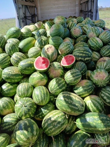 /images/posts/2024/08/1901105/lh2a94UkhJFBfopCQY4SXWIGPU4D6NeYdEzaNKW5.jpeg