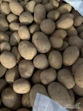 Sprzedam ziemniaki 2024. Twarde, zdrowe. Kraj pochodzenia PL i DE. Pakowane bb lub worek 15 kg. Zaprasam do kontaktu