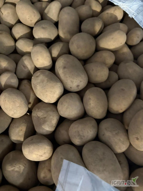 /images/posts/2025/06/2018606/oySeKxSvBR8JMw9MTFvQvIY10YrIBlyyCj7O1n4x.jpeg
