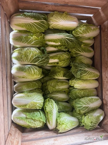 /images/posts/2024/08/1900911/4xjJZ7sfqeVZAJ1SXAQkhnN4ym0YkILgKwBkZgHt.jpeg