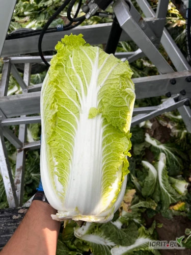 /images/posts/2024/08/1900911/jHj5wNdbPQgYrKG5CBRfMm4UcQMj5ezTHQSoLqLK.jpeg