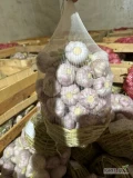 Sprzedam świeży  czosnekw  koszeku po 5kg, świeży ładny gruby towar
