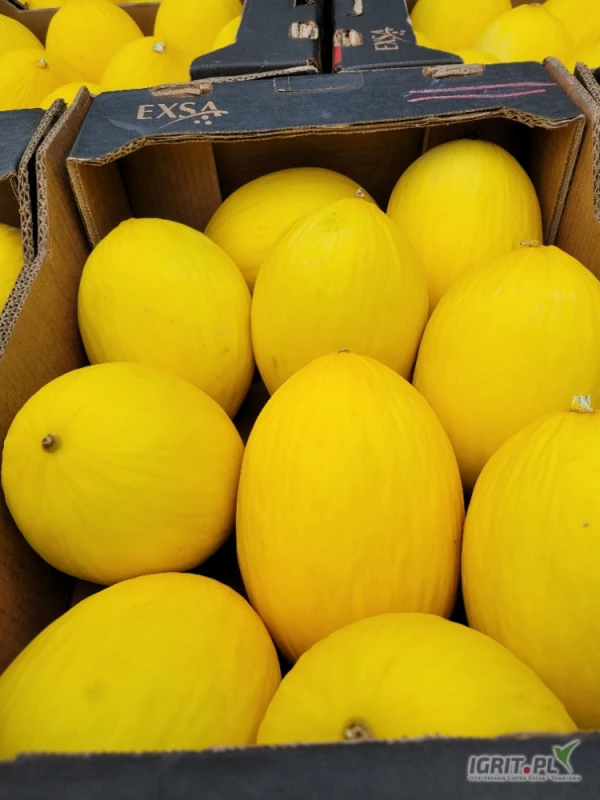 /images/posts/2025/05/2007079/V9LCHf0G7ctAPG5thF0fkMPLKf47n9B2FR6GUsX9.jpeg