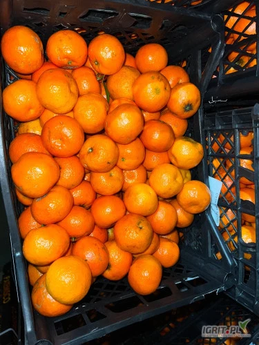 /images/posts/2024/12/1954543/12ffSjle1XePaTRReuhFzMifIknWUCfZcdSBna5M.jpeg