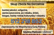 Skup Zbóż Pszenica, Rzepak, Kukurydza, Kontraktacje, TRANSPORT

