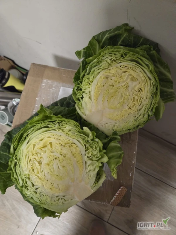 /images/posts/2025/06/2018839/gEMGW1jyRMt59UR0ZMEXbHPwPLtmtsEN0EqVjxHh.jpeg