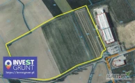 [13,89 ha] przetarg nieograniczony na 9-miesięczną dzierżawę gruntów rolnych [powiat dzierżoniowski, woj. dolnośląskie] użytek...