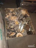Sprzedam drewno jabłonkowe, sezonowane, możliwość transportu. Cena 200zł za skrzynię (0.9m zasypowego)