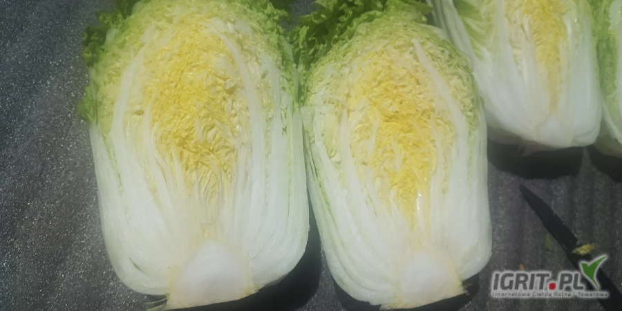 /images/posts/2025/06/2018934/6AQVG9Jbe4YwvbqGjEotFWmRAIXIvXZvxCdmdRYv.jpeg