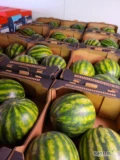Arbuz 3 szt. 15 kg Seedless Costa Rica - świeża dostawa Katowice
