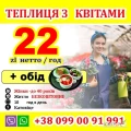 praca w szklarni przy kwiatach 
