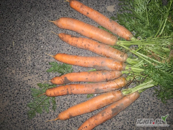 /images/posts/2024/07/1884304/yizFn5iqUmRShaKtKSKixVXqEemC9Cjw4cL0lvHu.jpeg