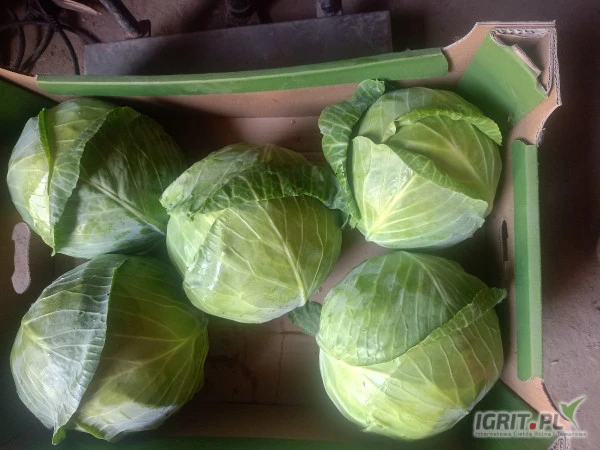 /images/posts/2024/06/1872646/eEIRFhemOIb4a9JpQ9aEeKDvZV3U0TQ85drarrJg.jpeg