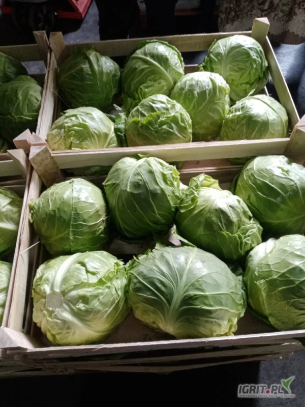 /images/posts/2025/06/2019023/Xls2AqoP6XjjENdcN4sTqPaZMqI8POp3xFqasDoG.jpeg