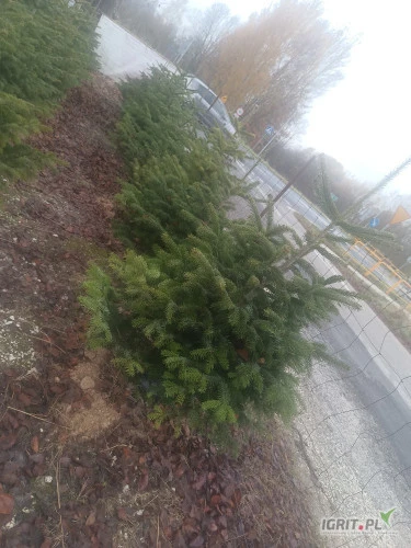 /images/posts/2024/11/1943889/Ycetf8UG1k558wPlHoT3C91djNkcrwWmhDFd6BGu.jpeg