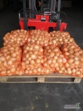 Sprzedam cebule cukrową. Ładna i sucha łuska. Dostępne ok. 40 ton. Okolice Wilgi 