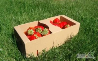 Łubianka, Kobiałka, łubianki, kobiałki - szare, białe na 1KG owoców - idealne do truskawki, borówki...
Pakowane po 6000 tyś na palecie - cena 2700zł netto / 45gr./sztuka
Przy zamówieniu powyżej 5 palet - cena 40 groszy netto/sztuka - 2400 netto paleta!!!
Minimalne zamówienie - 500szt - 320zł brutto
wymiary zewnętrzne - 272 x 118 x 88 wys. mm
wymiary wewnętrzne - 235 x 116 x 85 wys. mm
W ofercie inne rozmiary 1kg/2kg
Zamówienia telefonicznie lub przez stronę sklep.opakowaniabest.pl
Towar dostępny od ręki - wysyłamy natychmiast - możliwy odbiór osobisty!!!