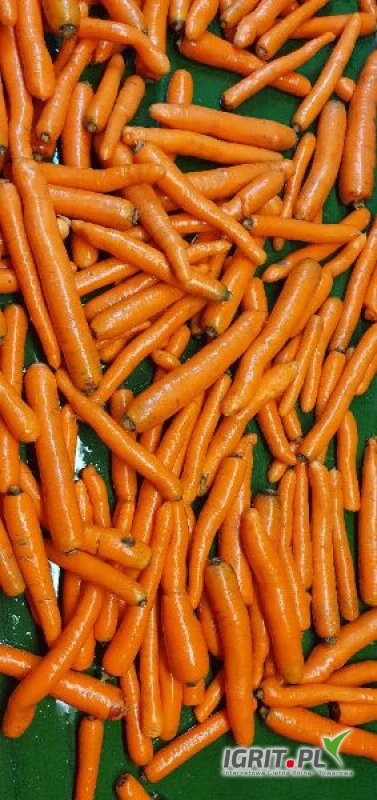 /images/posts/2021/03/1310902/udsOPTYG6Zaz7LqydeT2Op2Ob7j3DMWGWTTMJ9J7.jpeg