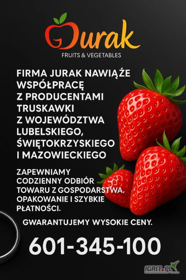 /images/posts/2025/06/2019135/yBz01rzF14eF3eR2U2bexTtlFhk9HFa4FI3bZiMA.jpeg