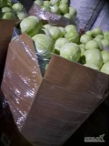 Kupie kapuste biala, waga 1kg+, 2kg+, 4kg+
