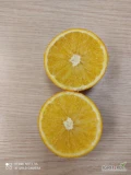 Oferuję do sprzedaży pomarańcze odmiany Navel, kraj pochodzenia Egipt, kaliber 3/4/5, opakowanie karton 15 kg - ilości paletowe.