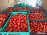 Kupię skrzynki plastikowe 15 kg 20 kg 