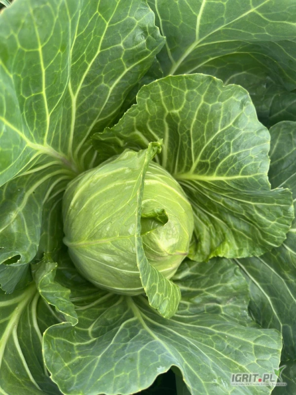 /images/posts/2025/05/2007940/EC0lAcC7IAVWmRLtzO4l5JDH24vrvZbbKchGNVMj.jpeg