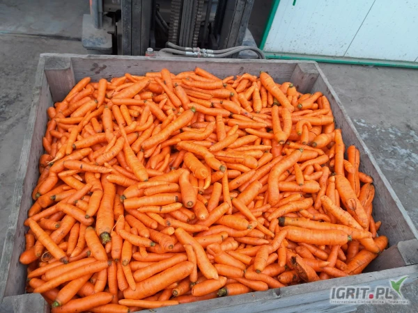 /images/posts/2025/05/2008030/1XxTjfa8eobxJ8I9acP3A0X2Ar5X8DJFIFdpCxCW.jpeg