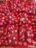 Sprzedam cebulę czerwoną młodą pakowana po 5 kg
