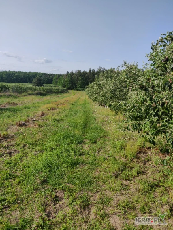 /images/posts/2025/06/2019271/O0nnhUUVTwr2UvJECGAokVa60Zlp0g2YnQE8u05C.jpeg