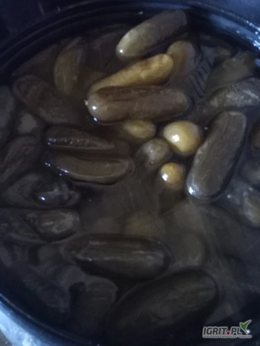 /images/posts/2025/03/1981161/iH4FBM8Uf3n99FAv89u3hyGFh9kFtLYSIzq5b4na.jpeg