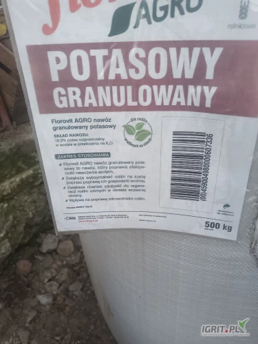 /images/posts/2025/03/1983423/7r4ZdqpmNYizjTJfWg4JkXdSnybuHza4UXyTg3yC.jpeg