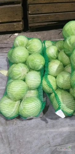 /images/posts/2025/02/1970723/l6QvsrPjAdnPlBw3lW9XdnRcCdGYwGIpzjPyg7Xp.jpeg