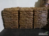 Ziemnaiki worek 15kg tel. 601159904