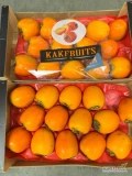 KAKI kal.14 odm. Rojo Brilante  kraj Hiszpania
