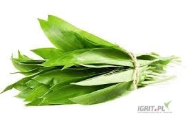 /images/posts/2025/03/1984158/5Tzv43sNqpQejF22EtgyCQDhkOU6UadABg34UDlr.jpeg