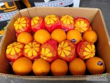 Pomarańcze 15 kg 80, 88, 100 Egipt - świeża dostawa Katowice
