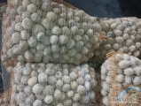 Sprzedam ponad 800 kg " lulki" ładny odebrany ziemniak. Odmiana Riviera. Pakowane w worki po 15 kg. 