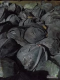 Sprzedam kapustę czerwoną z nalotem ,waga 0,8 - 3 kg, ilości paletowe, tirowe 