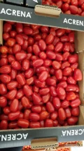 POMIDOR KOKTAJLOWY/CHERRY Kraj Maroko
