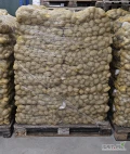Sprzedam ziemniaki odmiana Lilly kal. 45+, Luzem lub pakowane w worki 15 kg, ilości tirowe.