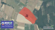 [94,77 ha] przetarg nieograniczony na bezterminową dzierżawę gruntów rolnych [powiat lubiński, woj. dolnoślaskie] użytek  RII...