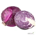 Kupimy kapustę czerwoną, mała w kalibrze 600 - 1200 gram, opakowanie carton box, większe ilości, płatność na załadunku. tel 500 521...