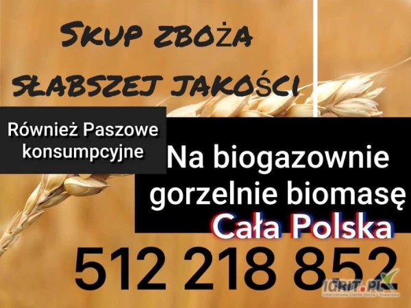 /images/posts/2024/08/1900343/JzjZ6xZJ71d9RK0tRXF3BKcUpkhM0NXhAjufX83t.jpeg