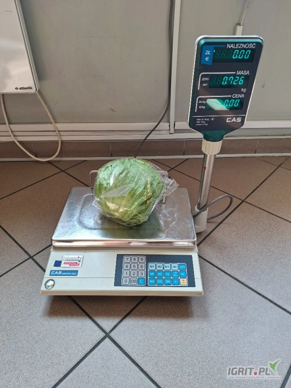 /images/posts/2025/06/2019449/6b4mV8CrLz1gOUjbbX8GsI9po4wHl23RCztuBvml.jpeg
