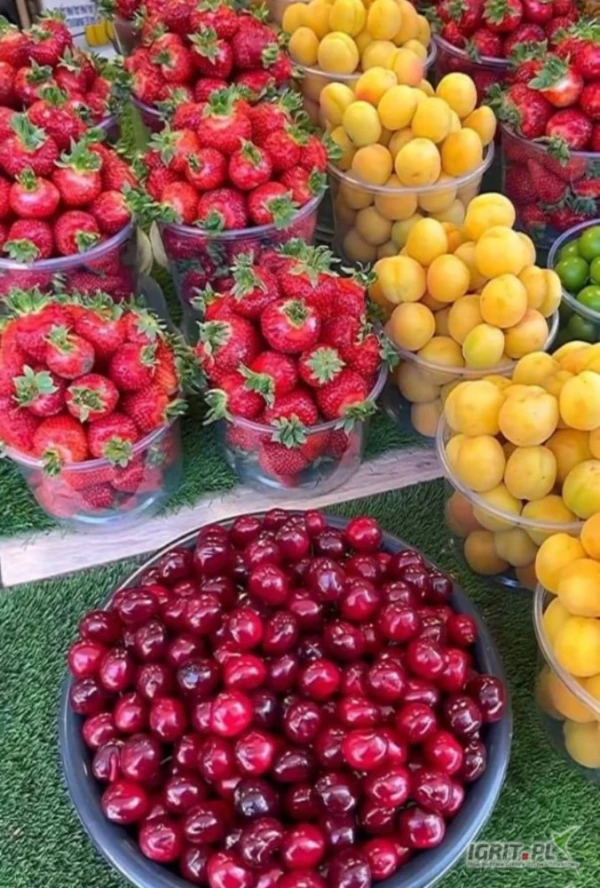 /images/posts/2025/06/2019460/Ncfg4PTguDiqeuF4ene7uiRENy7YGp2cGvCtkdZd.jpeg