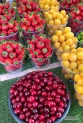 Poszukuję pracy przy zbiorach truskawek lub innych owoców w woj.Śląskim.