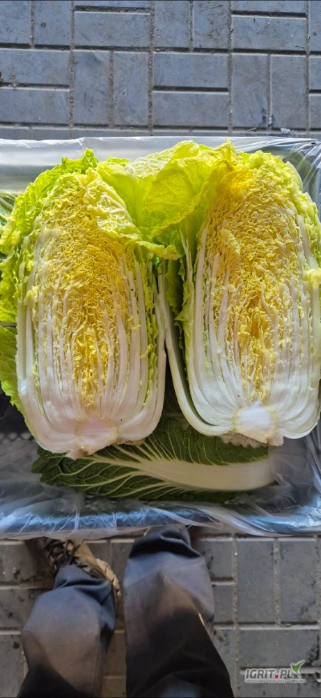 /images/posts/2025/04/1997562/jeLladj528cSjLzpJBYx1Ckl33f0g7mAX7JmFuBI.jpeg